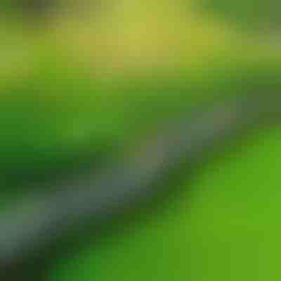 Bordes de jardín tipo piedra (10 piezas) | MINIFENCE