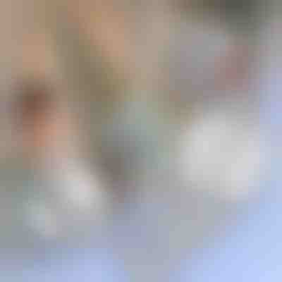 Cinta reparadora para mosquiteras | INSECTAPE