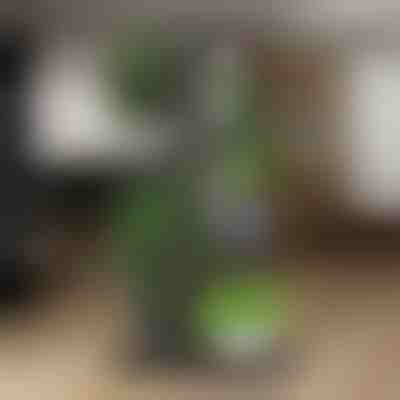 Soporte para macetas | POTSTAGE