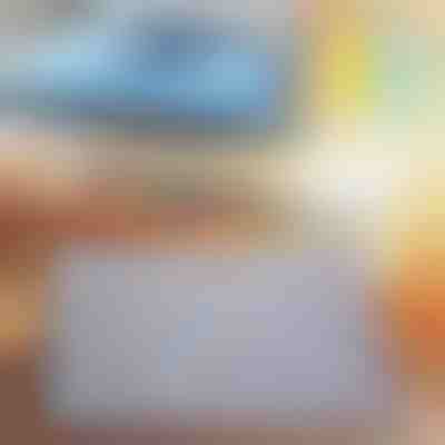 Pantalla protectora de rayos UV para coche GLADESHADE