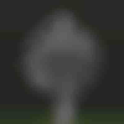 Molino de viento cinético mágico para jardín | WINDARA